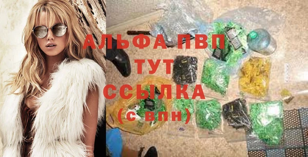спайс Михайлов