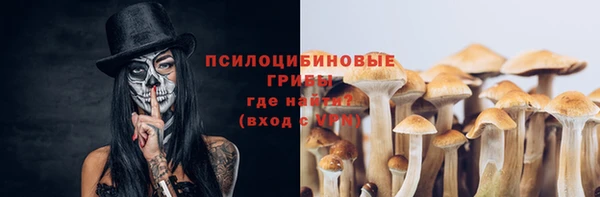 spice Михайловка