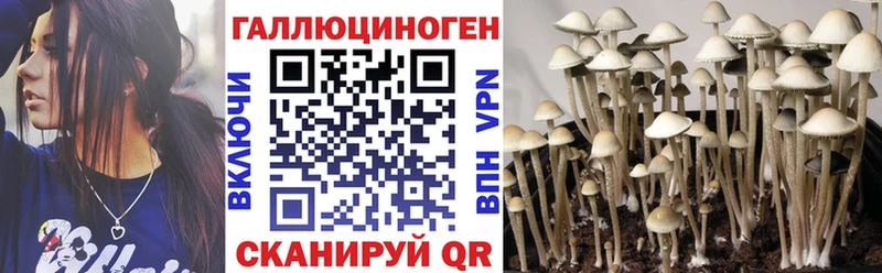 Псилоцибиновые грибы мухоморы  Советская Гавань 